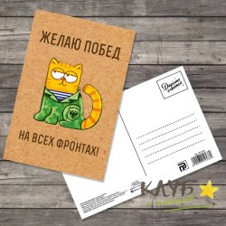 Открытка "Желаю побед на всех фронтах. Котик", 10х15 см