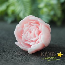 Бутон пиона Мария, форма силиконовая