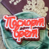 Топпер "Паспорт врет", форма силиконовая - миниатюра 2