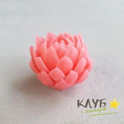 Суккулент микро, форма из пищевого силикона